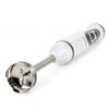 MIXEUR PLONGEANT 600W/toto