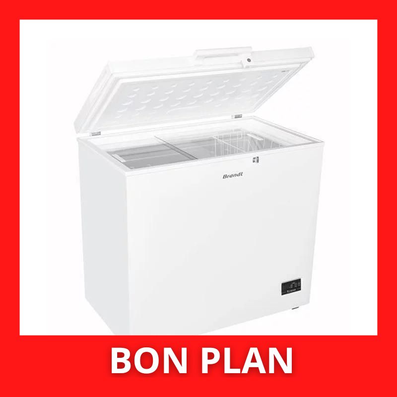 Congélateur coffre BRANDT BFK301ESW