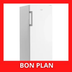 Congélateur armoire BEKO B1RFNE274W