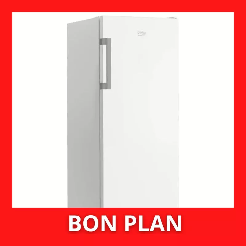 Congélateur armoire BEKO B1RFNE274W
