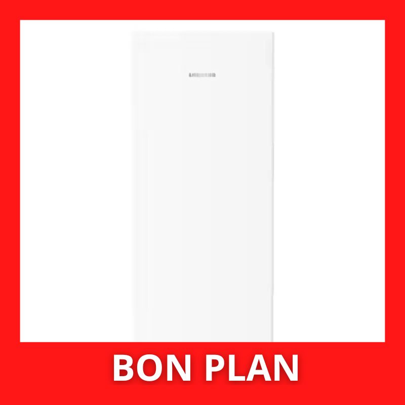 Congélateur armoire LIEBHERR GN46VE05