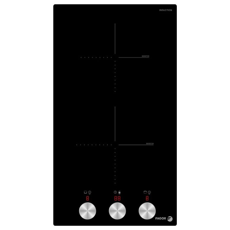 PLAQUE INDUCTION 2 FOYERS MANETTES