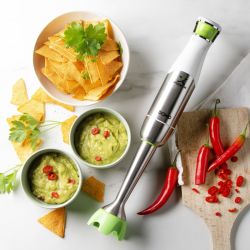 MIXEUR PLONGEANT 1200W/toto