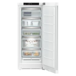 CONGELATEUR ARMOIRE NF 145CM - 199L - D