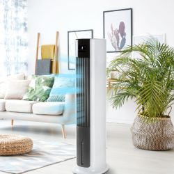 RAFRAICHISSEUR D'AIR 500M3/H COLONE/toto