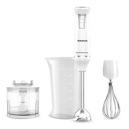 MIXEUR PLONGEANT 750W