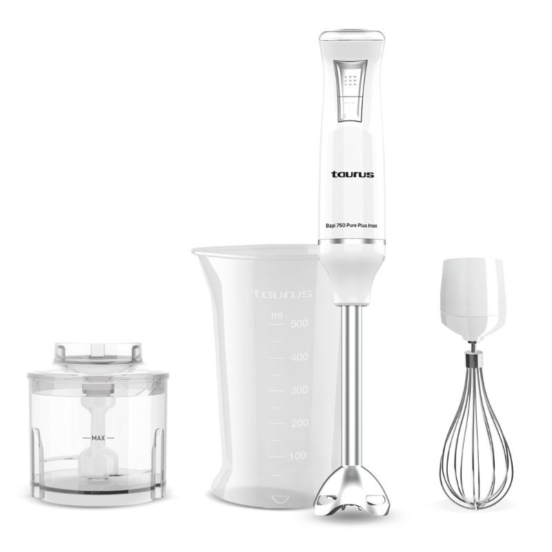 MIXEUR PLONGEANT 750W