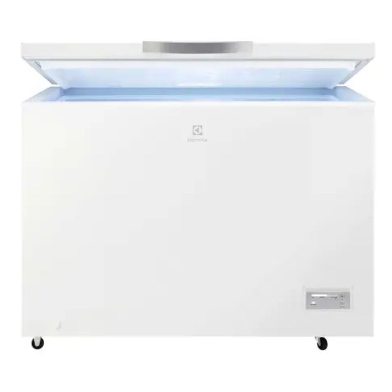 CONGELATEUR 308L
