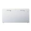CONGELATEUR COFFRE 558L - E -/toto