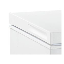 CONGELATEUR COFFRE - 300L - D -/toto