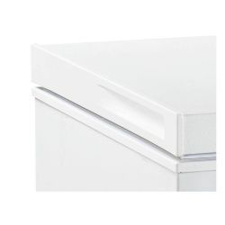 CONGELATEUR COFFRE - 300L - D -