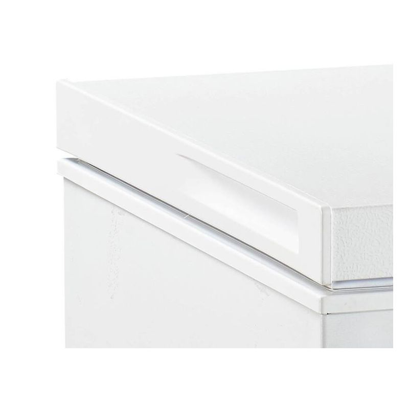 CONGELATEUR COFFRE - 300L - D -