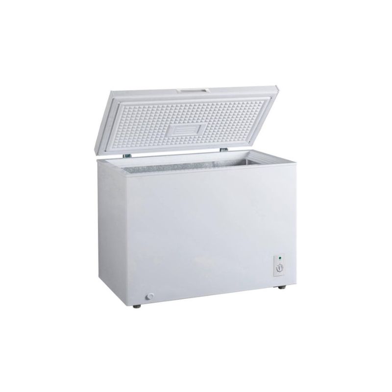 CONGELATEUR COFFRE - 300L - D -