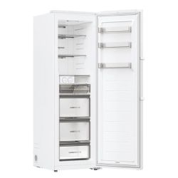 CONGELATEUR ARMOIRE NF 190CM - 301L - D/toto