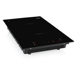 DOMINO INDUCTION